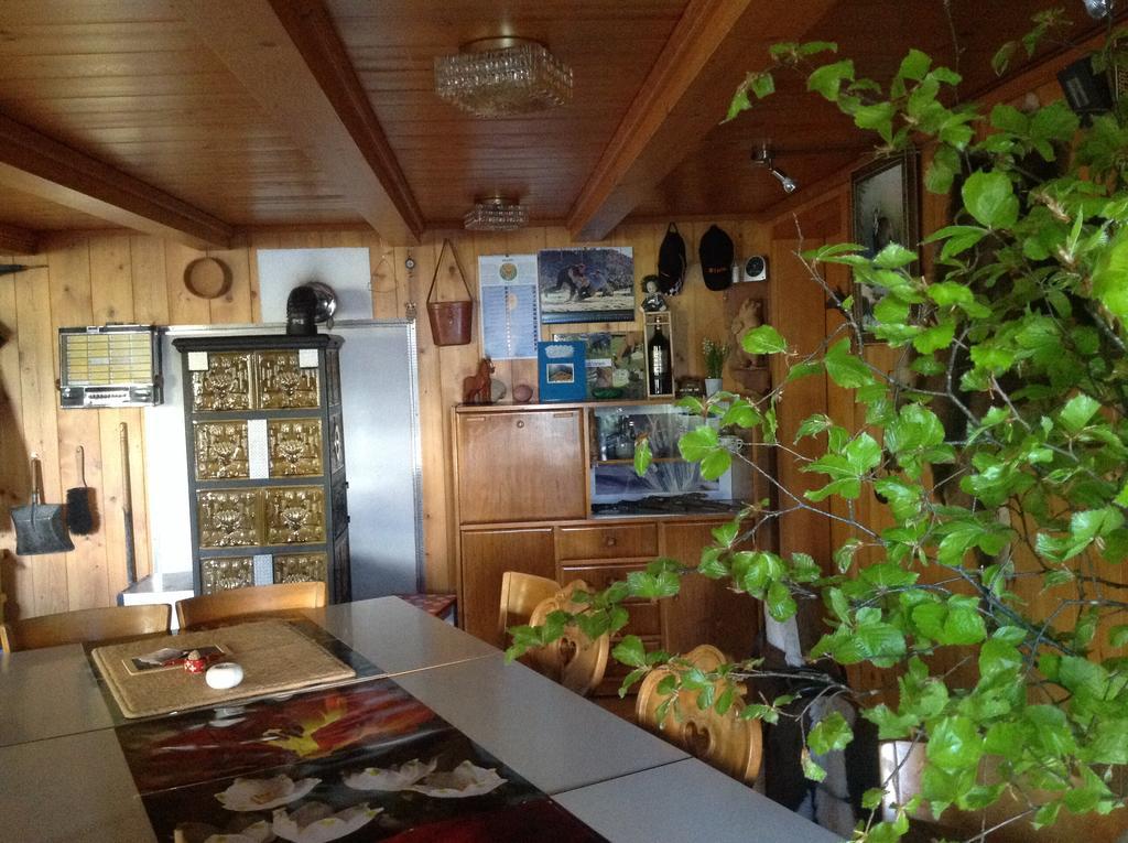 Panorama Hotel Wagenkehr Innertkirchen Eksteriør billede